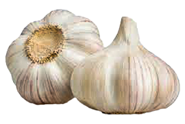 Garlic png2